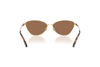 Bagside Ralph Lauren RL7093 (900473)