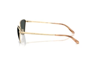 Sidevisning Ralph Lauren RL7093 (911687)