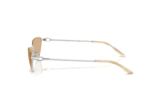 Sidevisning Ralph Lauren RL7095 (9001/8)