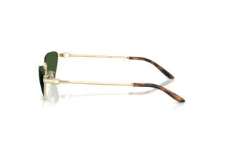 Sidevisning Ralph Lauren RL7095 (911671)