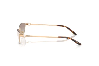 Sidevisning Ralph Lauren RL7095 (94876E)