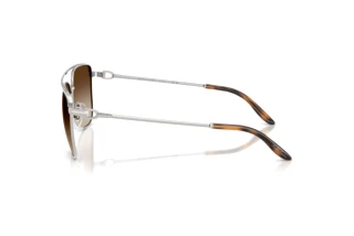 Sidevisning Ralph Lauren RL7096 (900113)