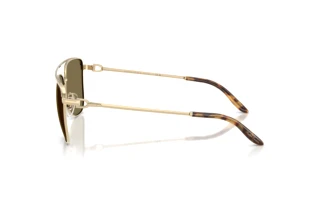 Sidevisning Ralph Lauren RL7096 (911673)