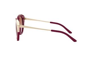 Sidevisning Ralph Lauren RL8178 (579439)