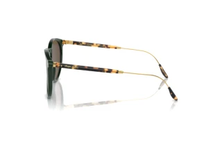 Sidevisning Ralph Lauren RL8181P (614053)