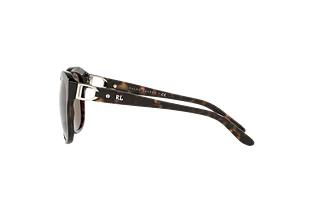 Sidevisning Ralph Lauren RL8190Q (500373)