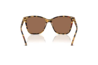 Bagside Ralph Lauren RL8201 (500473)