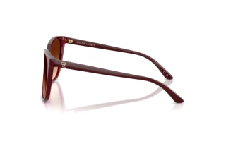 Sidevisning Ralph Lauren RL8201 (591274)
