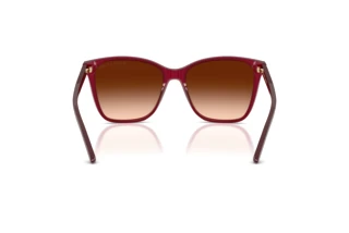 Bagside Ralph Lauren RL8201 (591274)