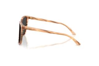 Sidevisning Ralph Lauren RL8201 (617987)