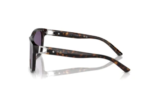 Sidevisning Ralph Lauren RL8203QU (50031A)