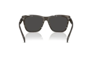 Bagside Ralph Lauren THE RICKY II (RL8212 - 617587)