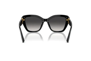 Bagside Ralph Lauren THE ISABEL (RL8216U - 50018G)