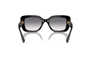 Bagside Ralph Lauren THE NIKKI (RL8217U - 500179)