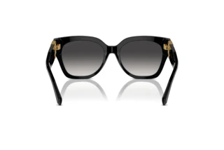 Bagside Ralph Lauren THE OVERSZED RICKY (RL8221 - 50018G)