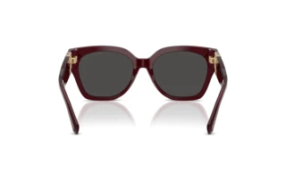 Bagside Ralph Lauren THE OVERSZED RICKY (RL8221 - 508387)