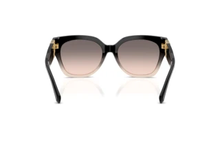 Bagside Ralph Lauren THE OVERSZED RICKY (RL8221 - 60223B)