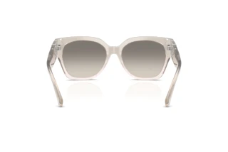 Bagside Ralph Lauren THE OVERSZED RICKY (RL8221 - 611208)