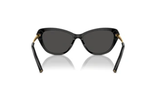 Bagside Ralph Lauren THE ELLA (RL8224U - 500187)