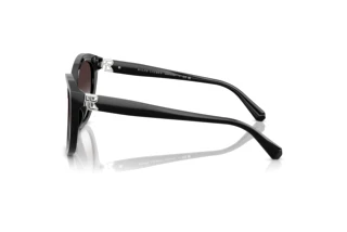 Sidevisning Ralph Lauren RL8225U (50018G)
