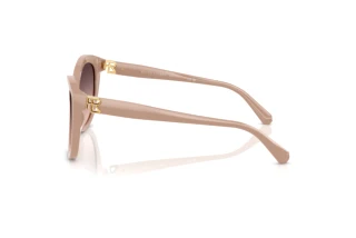 Sidevisning Ralph Lauren RL8225U (6218U8)