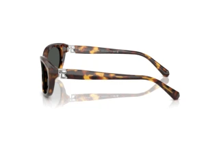 Sidevisning Ralph Lauren RL8226U (513487)