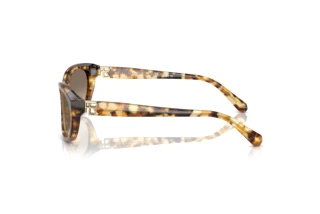 Sidevisning Ralph Lauren RL8226U (60566Y)