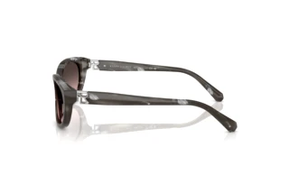 Sidevisning Ralph Lauren RL8226U (617546)