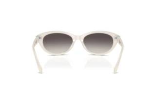 Bagside Ralph Lauren RL8226U (618208)