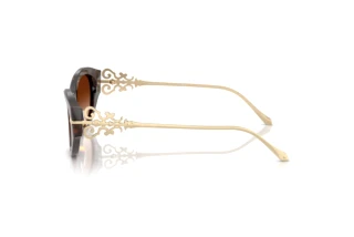 Sidevisning Ralph Lauren RL8227U (500374)