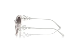 Sidevisning Ralph Lauren RL8227U (611208)