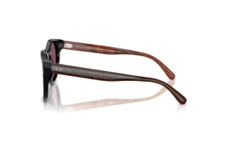 Sidevisning Ralph Lauren RL8229U (53981A)