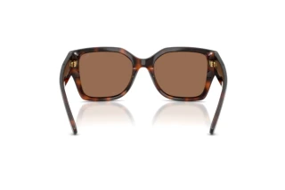 Bagside Ralph Lauren RL8230U (624173)