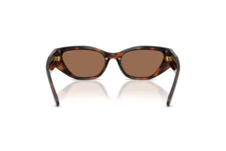 Bagside Ralph Lauren RL8231U (624173)