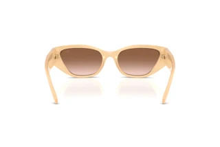 Bagside Ralph Lauren RL8231U (624513)