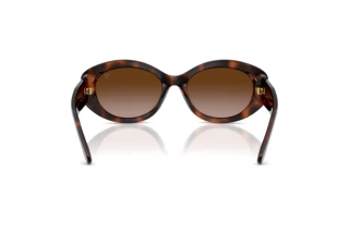 Bagside Ralph Lauren RL8232U (624113)