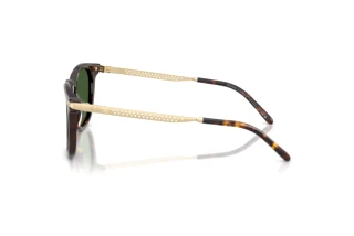 Sidevisning Ralph Lauren RL8233U (500371)