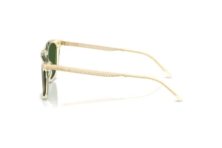 Sidevisning Ralph Lauren RL8233U (503471)