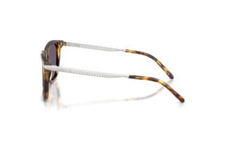 Sidevisning Ralph Lauren RL8233U (51341A)