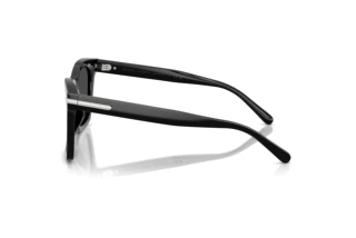 Sidevisning Ralph Lauren RL8235U (500187)