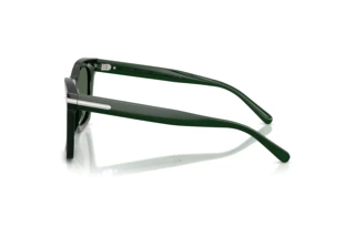 Sidevisning Ralph Lauren RL8235U (630471)