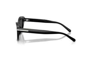 Sidevisning Ralph Lauren RL8236U (500187)