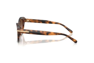 Sidevisning Ralph Lauren RL8236U (608913)
