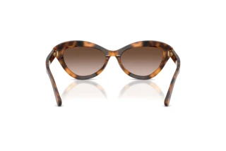 Bagside Ralph Lauren RL8236U (608913)