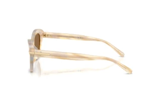 Sidevisning Ralph Lauren RL8236U (617673)