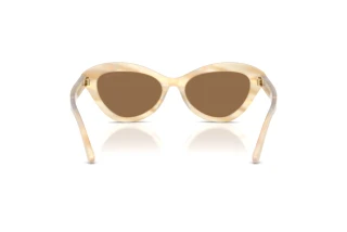 Bagside Ralph Lauren RL8236U (617673)