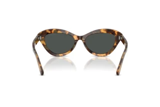 Bagside Ralph Lauren RL8236U (617887)