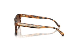 Sidevisning Ralph Lauren RL8237U (608913)