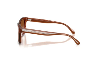 Sidevisning Ralph Lauren RL8237U (630613)