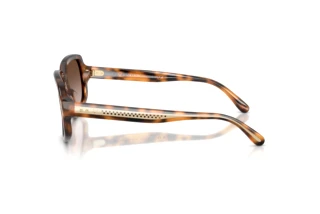 Sidevisning Ralph Lauren RL8238U (608913)